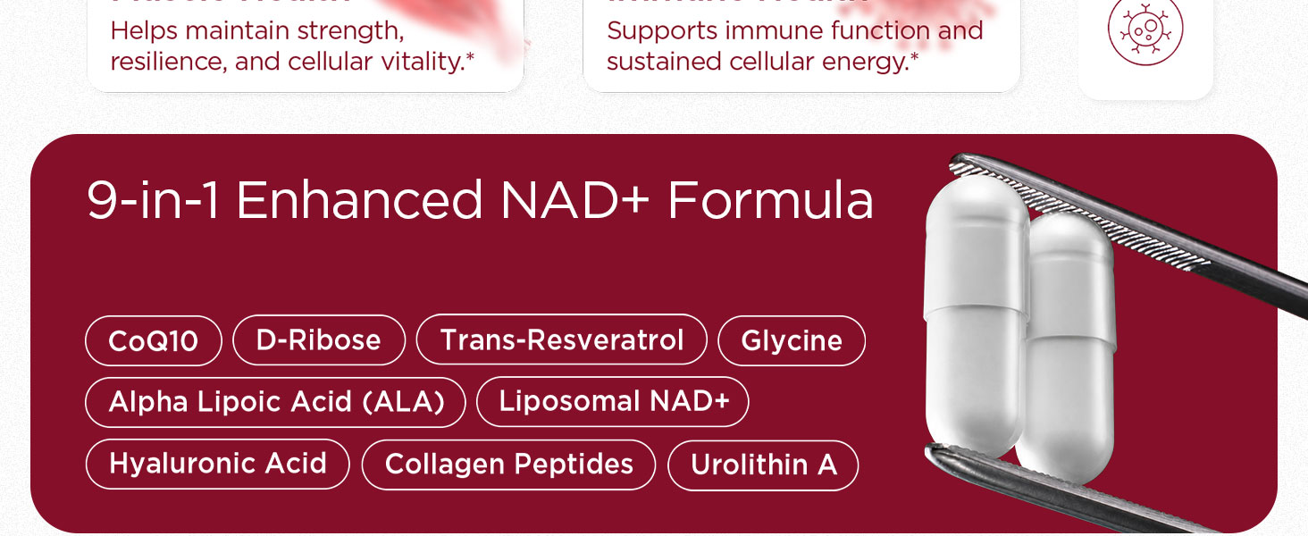 NAD+ Supplement for Women - NMN Alternative with β-NAD+, Trans-Resveratrol, CoQ10, D-Ribose - Promotes Cellular Renewal, Energy, and Radiant Skin Health - 60 Capsules Advanced