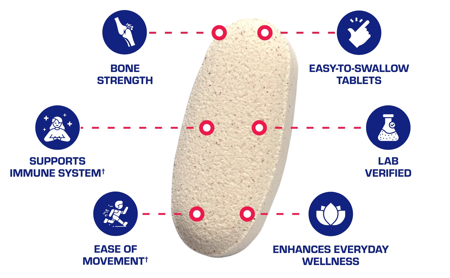 Clinical Calcium Complex Bone Supplement - Restorative Calcium Magnesium Zinc D3 Supplement for Bone Health Strength & Density Support with Antioxidant Bioflavonoids - High Absorption - 30 Servings