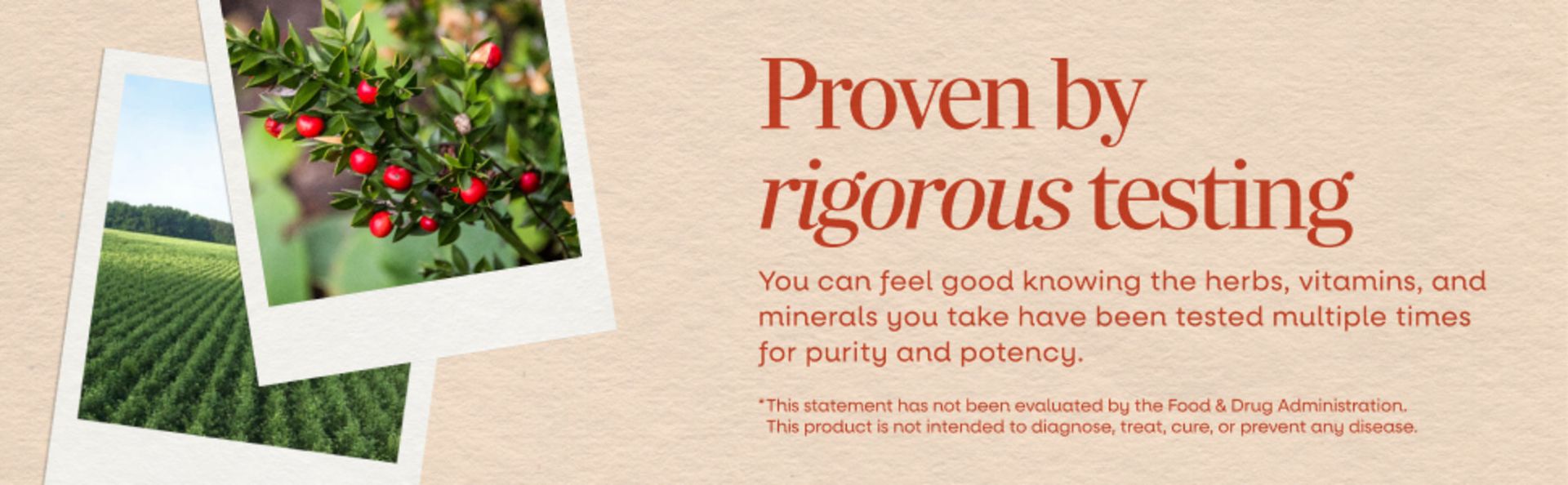 Nature's Way Butcher's Broom Root, Vegan, Non-GMO Project Verified, 100 ct