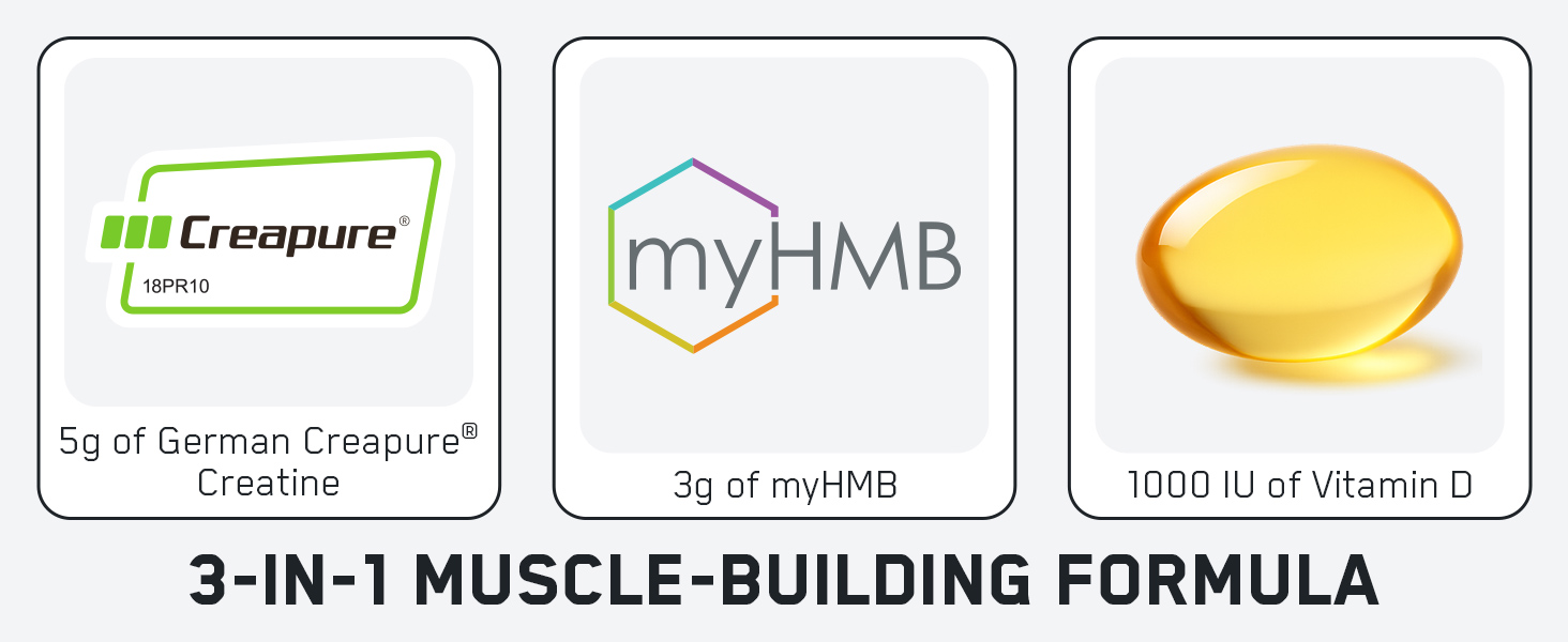 SteelFit Creatine HMB Powder - 5g Creapure Creatine Monohydrate Powder