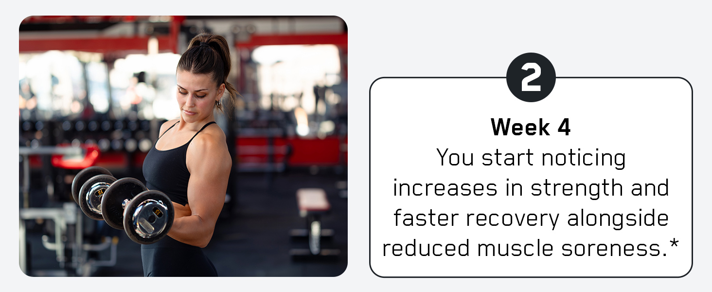 SteelFit Creatine HMB Powder - 5g Creapure Creatine Monohydrate Powder