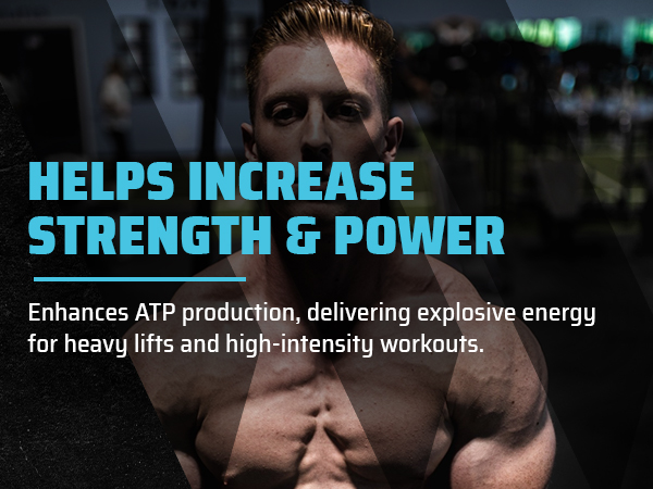 Swolverine Creatine Monohydrate Powder - 5g Micronized Creatine, Third-Party Tested, Single-Ingredient, Supports Muscle Strength, Power, Recovery & High-Intensity Performance, 30 Servings, Unflavored