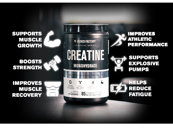 Jacked Factory Creatine Monohydrate Powder 425g - 5g Daily Micronized Creatine Monohydrate for Men and Women, Vegan-Friendly, Third-Party Tested - 85 Servings, Unflavored