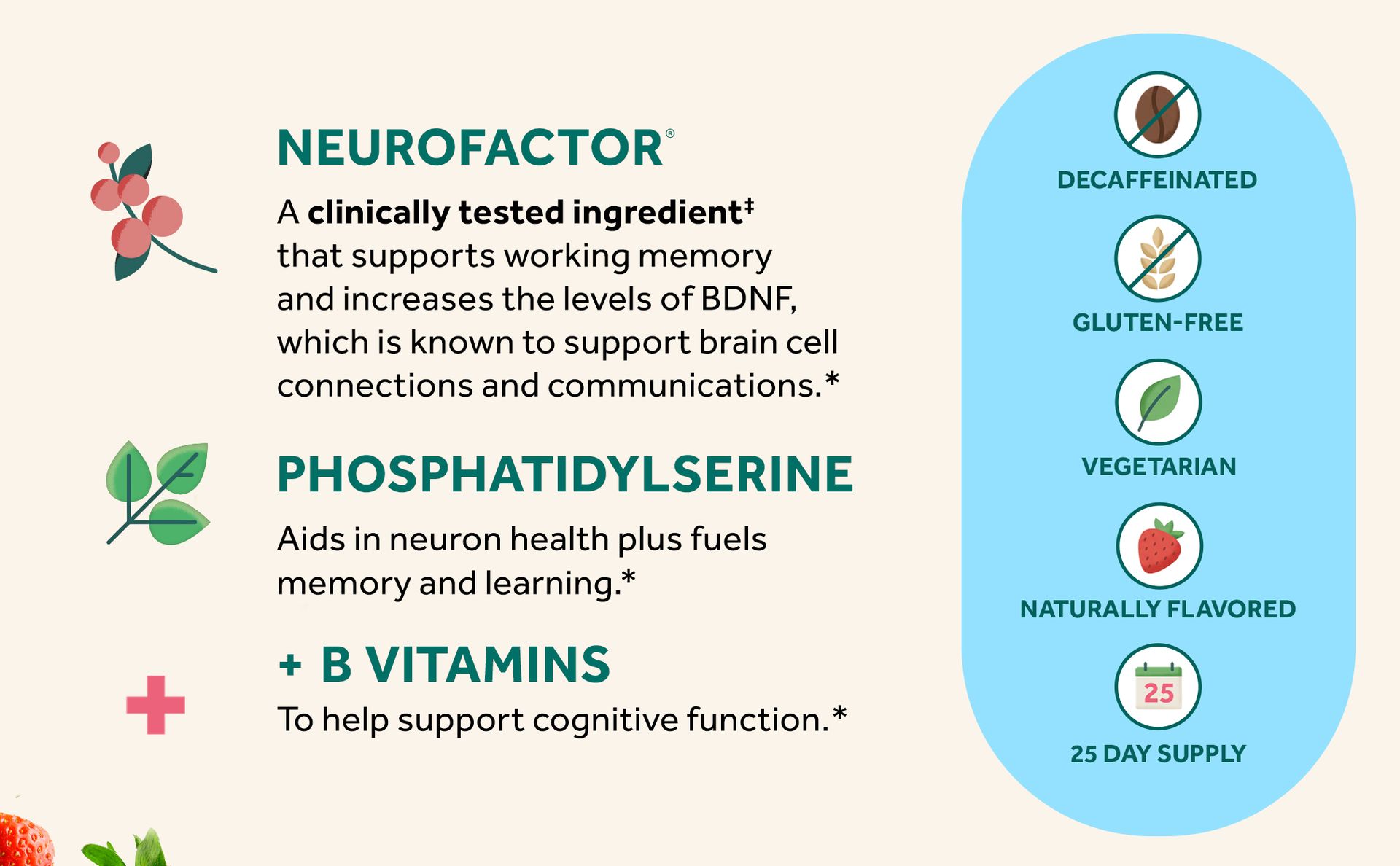 NEURIVA Plus Brain Supplements for Memory and Focus, Clinically Tested Nootropics Neurofactor and Phosphatidylserine with Vitamin B12, Vitamin B6, 50 Count Strawberry Gummies
