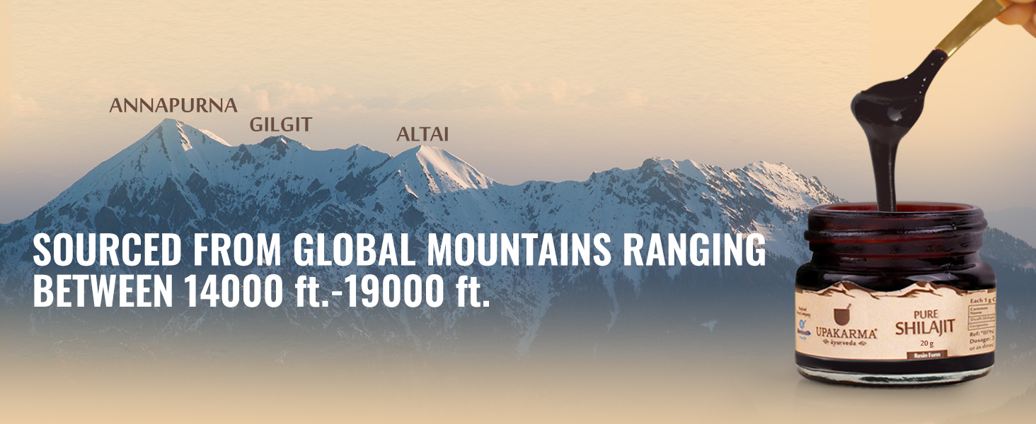 UPAKARMA Pure Shilajit Resin 20g | 300mg/serving | Extensive Global Sourcing | Boosts Stamina & Strength | Lab-Tested Purity | 66 Servings | Pack of 1