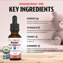 dr-green-mom-immunity-boost-herbal-immun-4.jpg