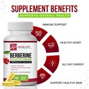 berberine-with-ceylon-cinnamon-1200-mg-b-3.jpg