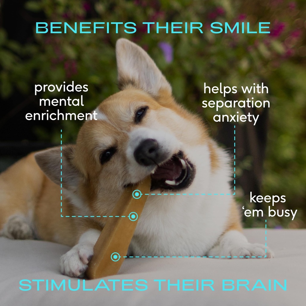 native-pet-gut-gnaw-bundle-60-scoops-gut-3.jpg