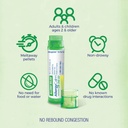 boiron-allergycalm-on-the-go-for-relief--3.jpg