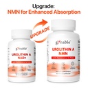 gynable-patented-urolithin-a-supplement--5.jpg