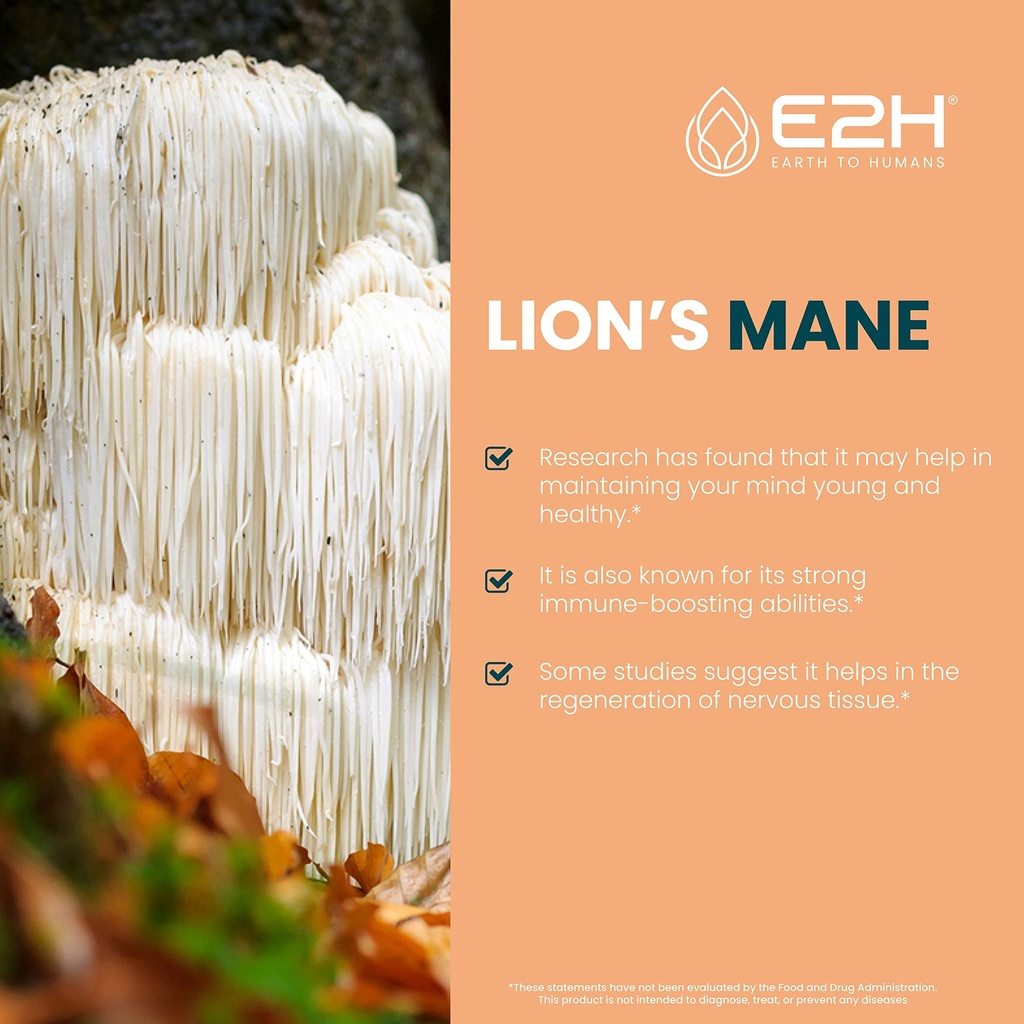 lions-mane-lions-mane-supplement-promote-3.jpg