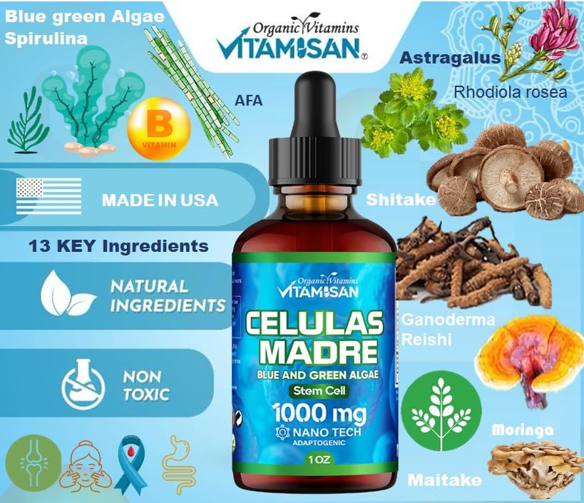 celulas-madres-stem-cell-support-plant-b-4.jpg