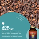 healthforce-superfoods-scram-herbal-supp-5.jpg