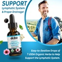 lymphatic-drainage-supplements-candi-cle-4.jpg
