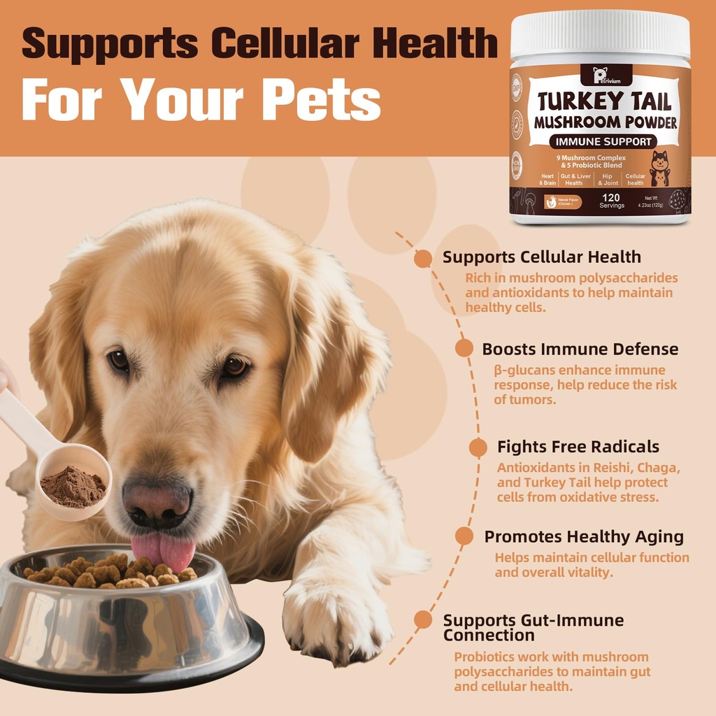 mushroom-supplement-with-probiotics-for--6.jpg