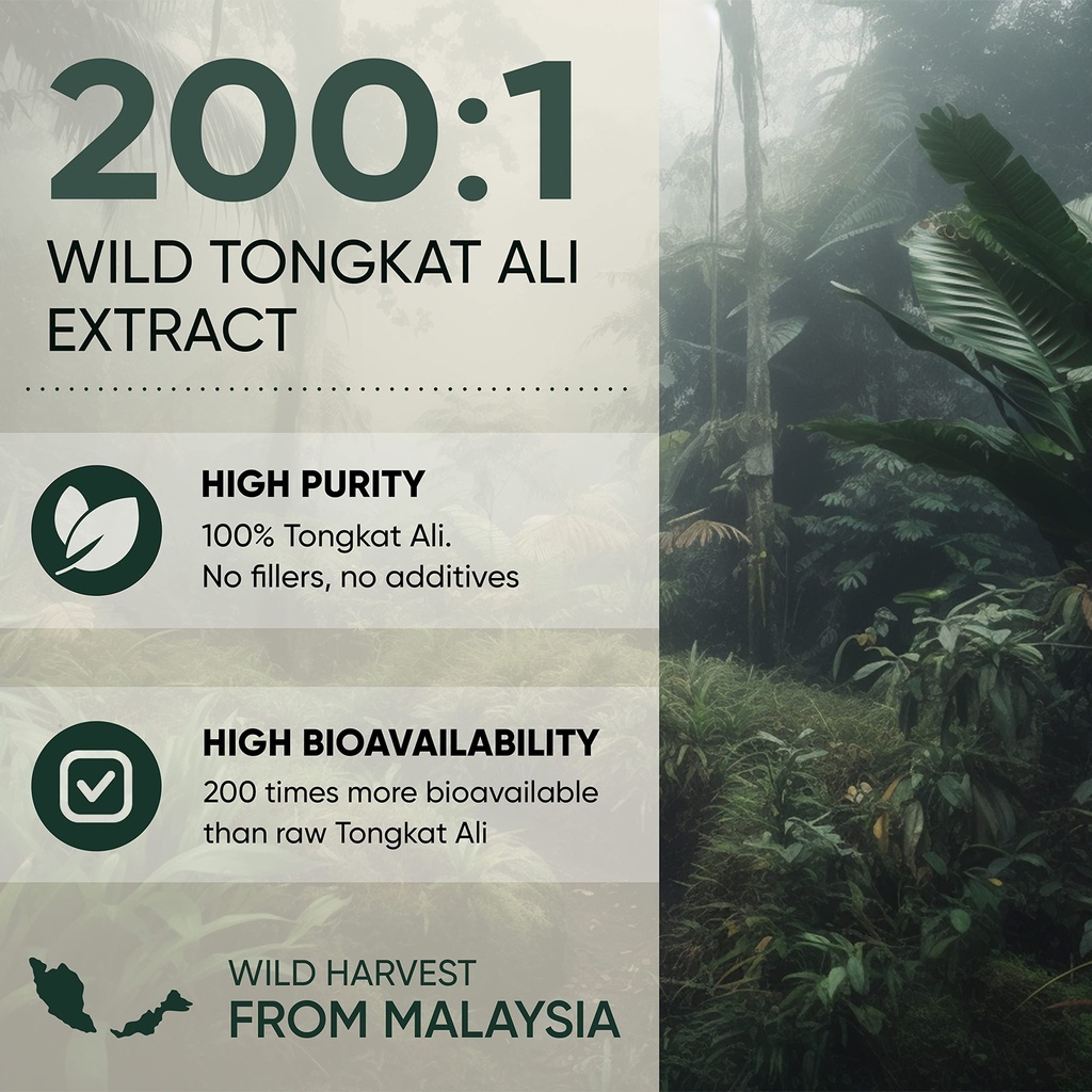 jungle-powders-tongkat-ali-powder-for-me-4.jpg