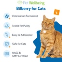 pet-wellbeing-bilberry-for-cats-eye-visi-5.jpg