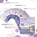 probiotics-for-cats-complete-gut-health--2.jpg