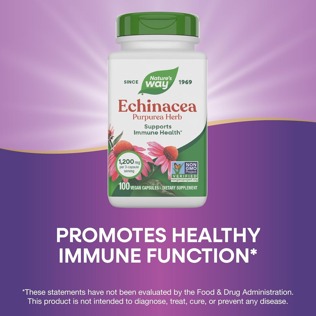 natures-way-echinacea-purpurea-herb-immu-4.jpg