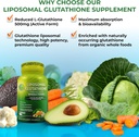 vegan-bone-immune-support-bundle---lipos-3.jpg
