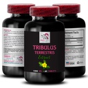 tribulus-terrestris-organic-tribulus-ter-2.jpg