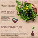 best-botanicals-bladderwrack-herb-powder-5.jpg