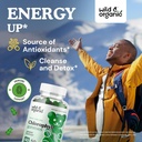 wild-organic-chlorophyll-gummies-sea-mos-2.jpg