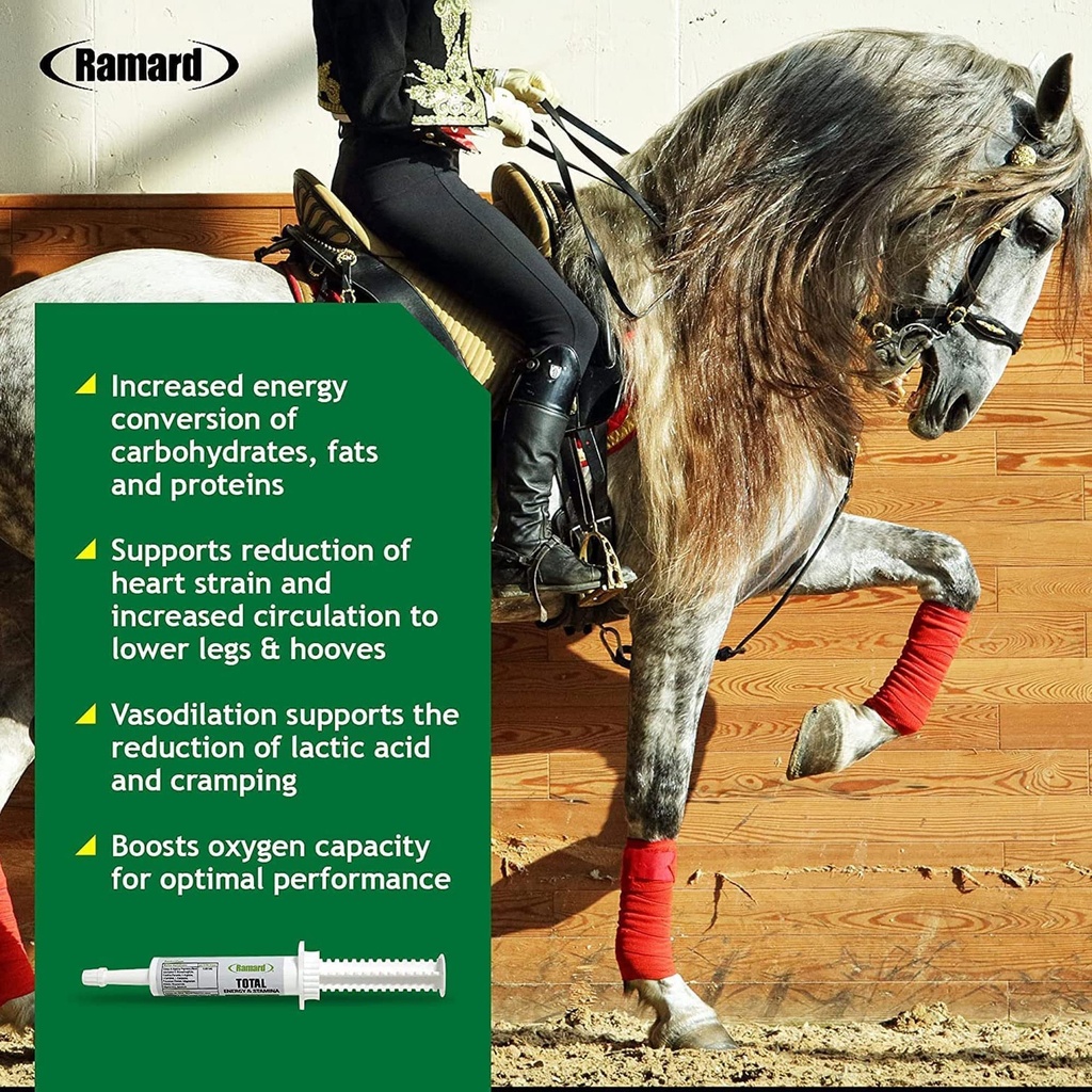 ramard-total-energy-and-stamina-support--4.jpg