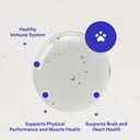 premium-dmg-for-dogs-dmg-liquid-to-suppo-4.jpg