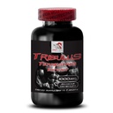 stamina-support-formula-tribulus-terrest-2.jpg