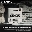 raw-creatine-monohydrate-to-go-stick-pac-3.jpg