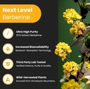 nutrachamps-energy-metabolic-support-gin-5.jpg