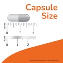 now-foods-supplements-choline-inositol-5-4.jpg