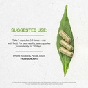 secrets-of-the-tribe-artichoke-usda-orga-3.jpg