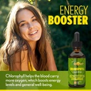 chlorophyll-liquid-drops-100-organic-veg-6.jpg