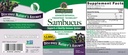 nature-s-answer-sambucus-elderberry-supp-81nhf9je1HL.jpg