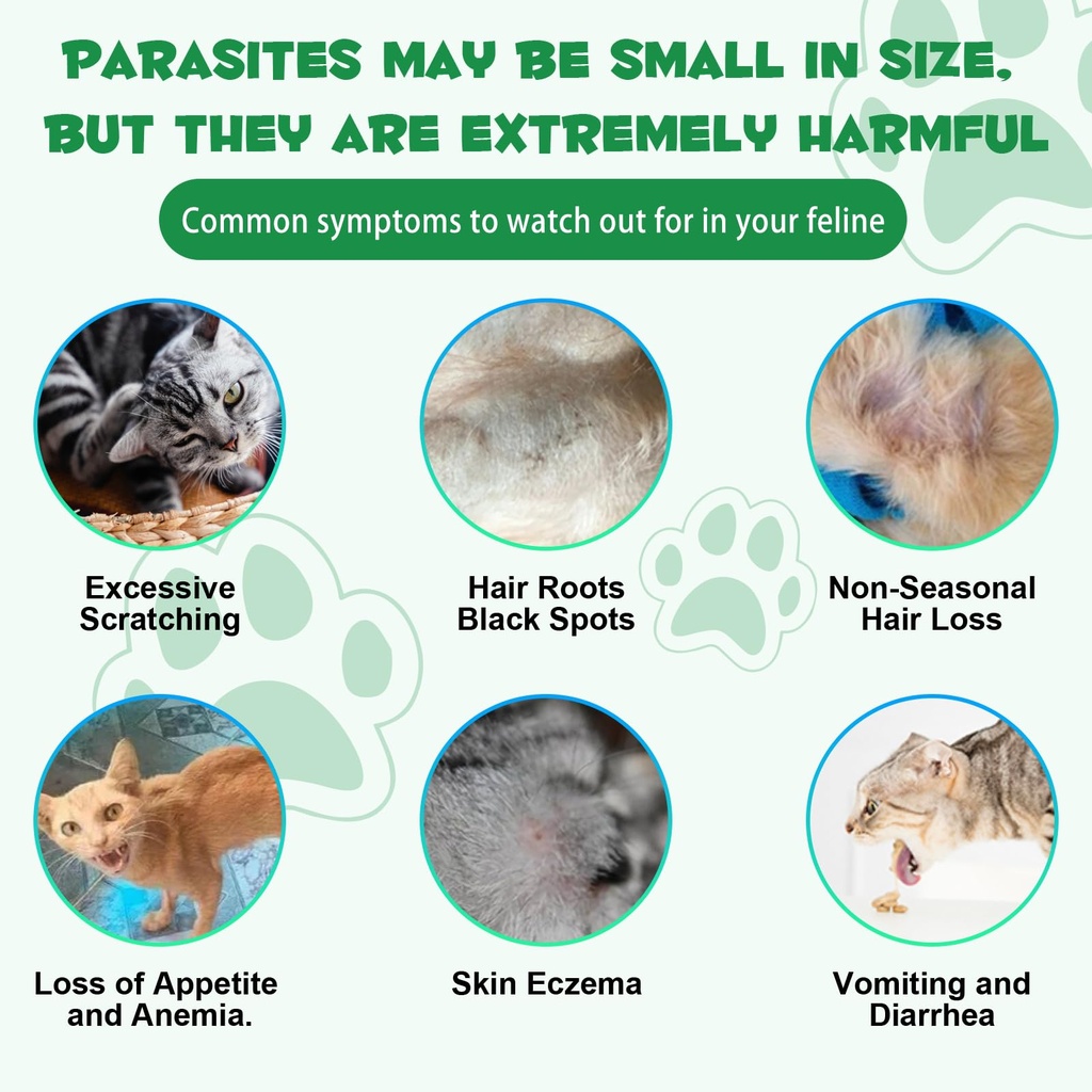 specifically-formulated-for-cats-kidney--714uhFkX3kL.jpg
