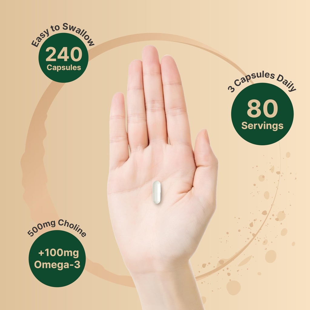 naturebell-choline-500-mg-with-omega-3-f-71+BSTib7dL.jpg