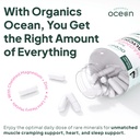 organics-ocean-pure-magnesium-glycinate--71QGmc3zgFL.jpg