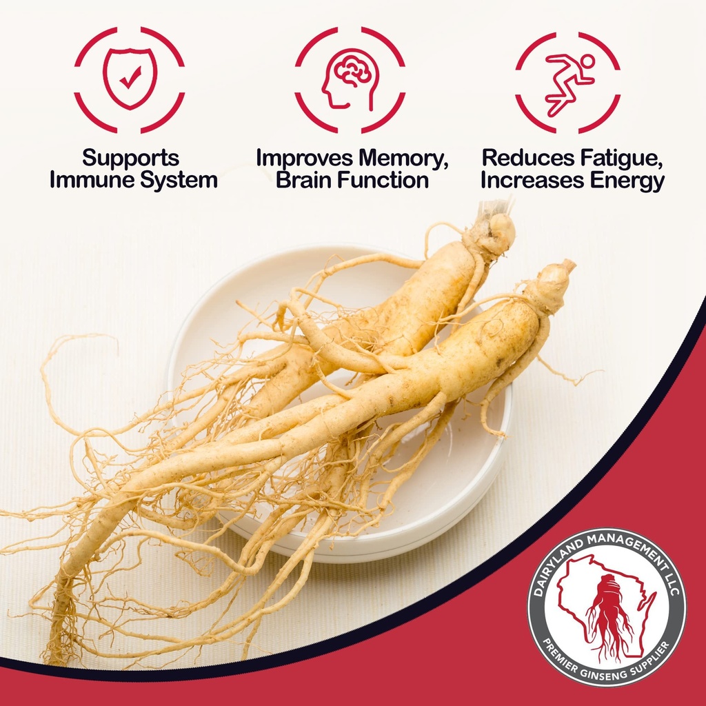dairyland-american-ginseng-roots-prongs--81Nox14BspL.jpg