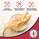 dairyland-american-ginseng-roots-prongs--81Nox14BspL.jpg