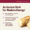 herb-pharm-asian-ginseng-liquid-extract--71evX8t8KLL.jpg