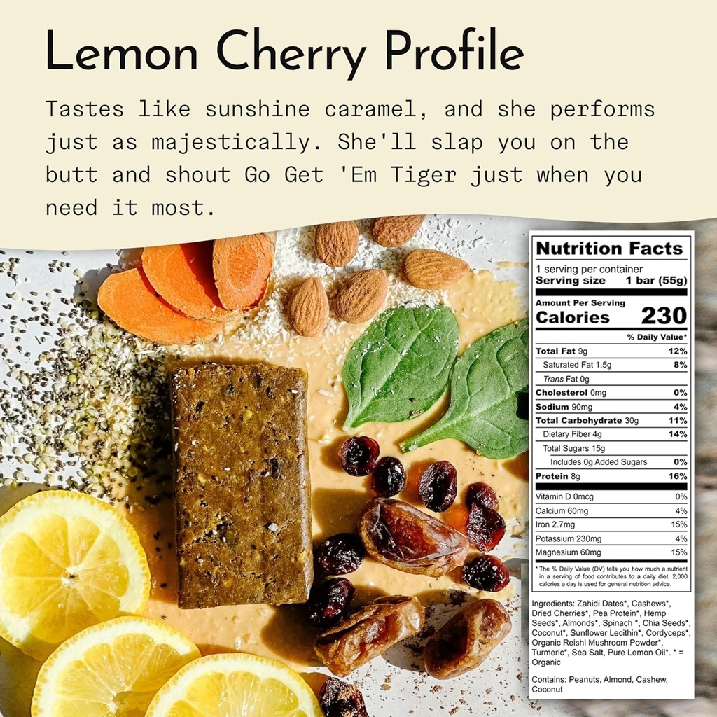 send-bars-plant-based-vegan-healthy-prot-2.jpg