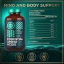 wild-fuel-amino-acids-hmb-and-fadogia-ag-81YyRX14dRL.jpg