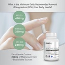 organixx-magnesium-7-complex-sleep-muscl-71MGm6aJpwL.jpg