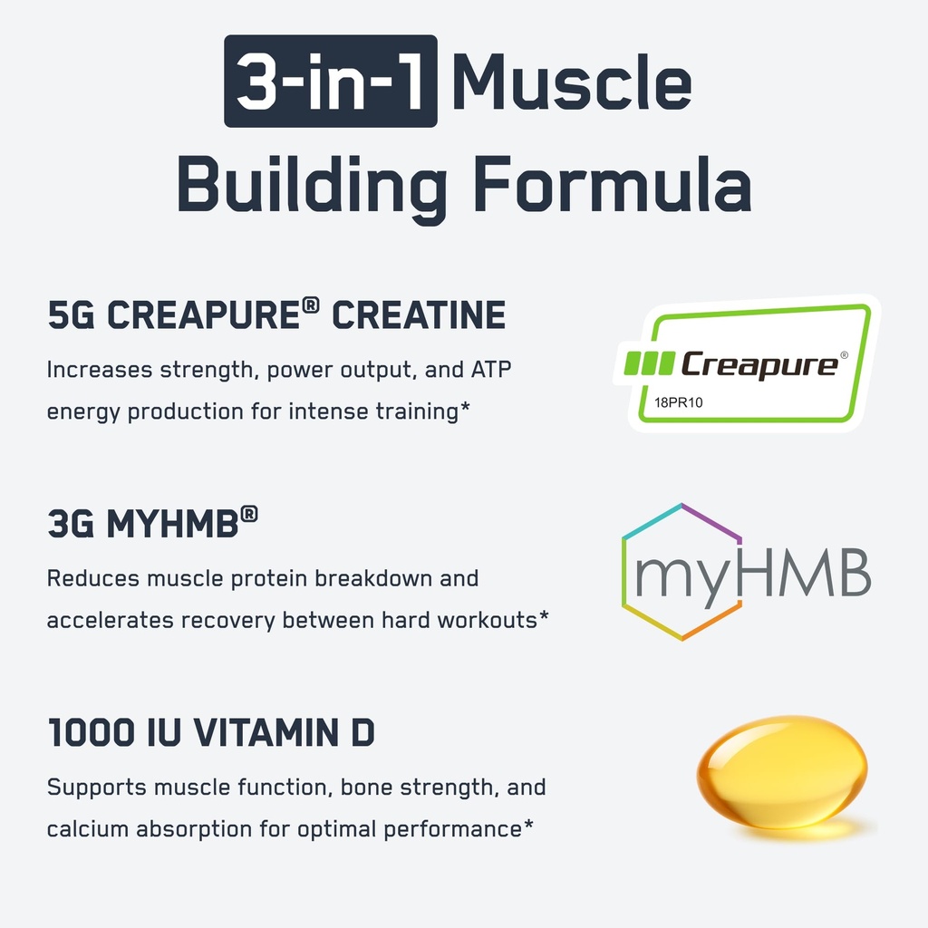 steelfit-creatine-hmb-powder-5g-creapure-719QYHI322L.jpg