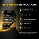 forestleaf-micronized-creatine-monohydra-71JhiA3+EsL.jpg
