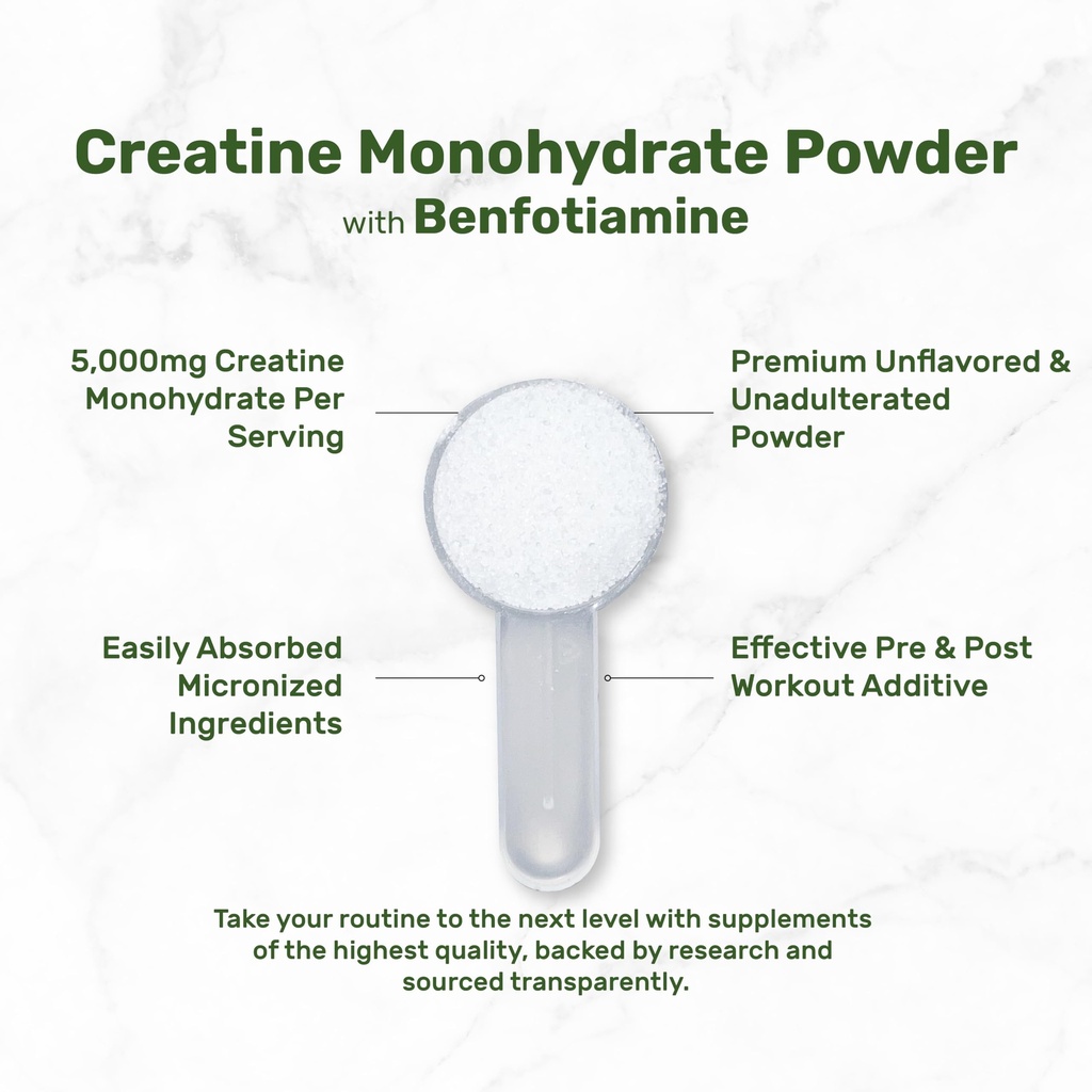 micronized-creatine-monohydrate-240-serv-71uQc1JaA2L.jpg