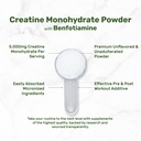 micronized-creatine-monohydrate-240-serv-71uQc1JaA2L.jpg