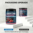 health4all-creatine-monohydrate-gummies--81WBhS8ymJL.jpg
